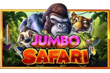 Dasbor loyalitas sbobetcash menampilkan tier pemain, poin yang terkumpul, dan reward mingguan