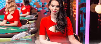 Tampilan antarmuka M-World Championship di platform sbobetcash dengan papan peringkat turnamen